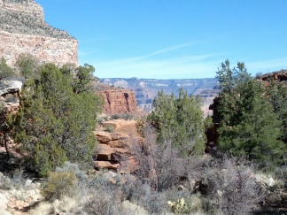 IMG_20130314_100111.jpg